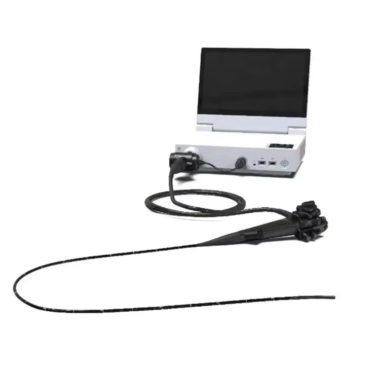 Digestive Endoscopy System